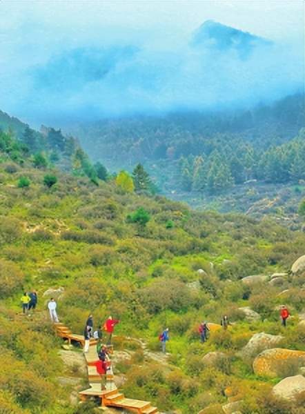 优配股 多彩文旅 全民畅游